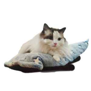 Pet Bed with Star Pattern