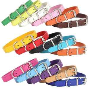 Colorful Pet Collar