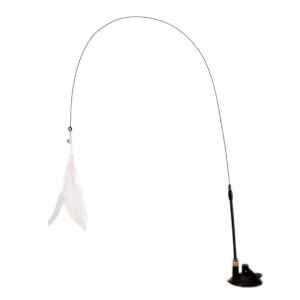 Cat Teaser with A Feather