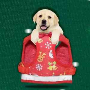 Pet Harness Vest for Christmas Collection