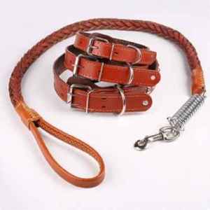 Pet Collar with Rivets